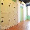 tourist bunny hostel