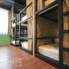 tourist bunny hostel