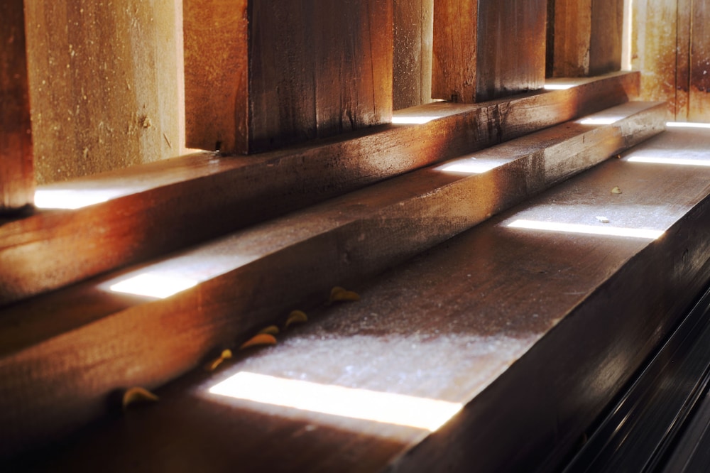 horseshoe crab cottage hostel