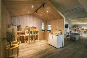 stray birds taichung hostel