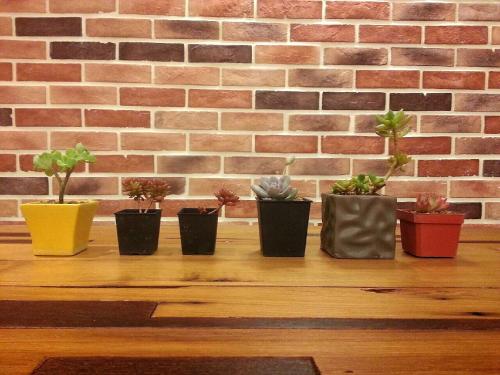 visual range b and b