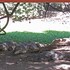 serrekunda