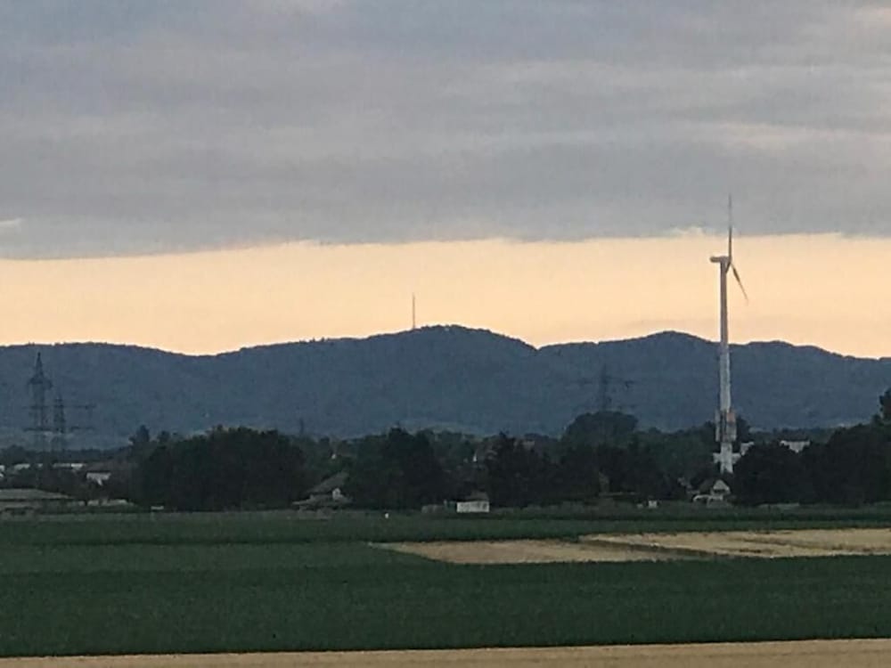 ringsheim