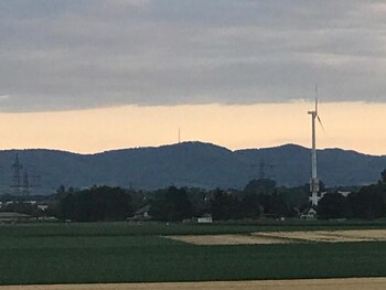 ringsheim