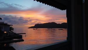 portobelo