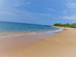 residencial tamarindos