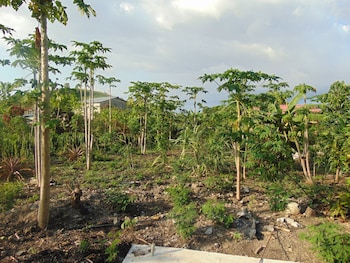 guadalupe