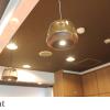 forest inn gobo
