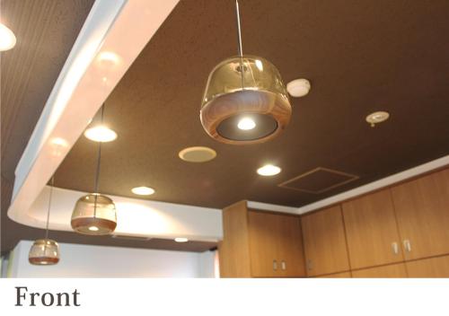 forest inn gobo