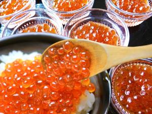 hotel new white house