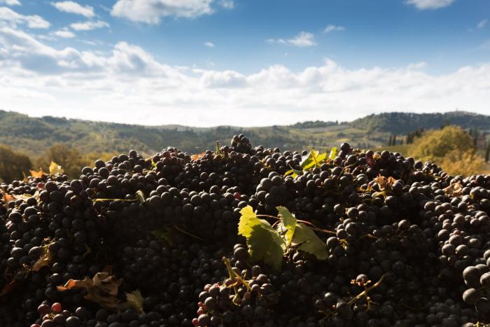 radda in chianti