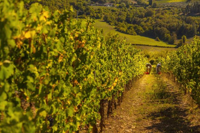 radda in chianti