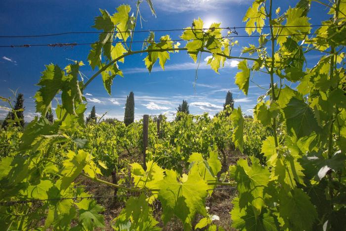 radda in chianti