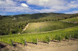 radda in chianti