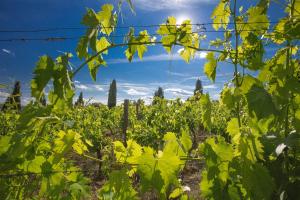 radda in chianti
