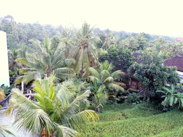 adi bisma inn