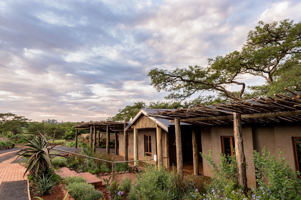 the hilton bush lodge