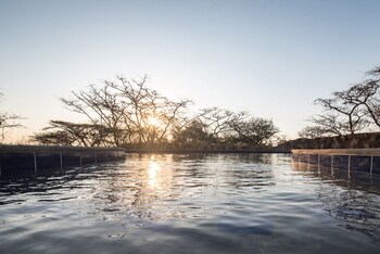 the hilton bush lodge