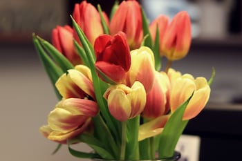 apart hotel firstboarding bayreuth