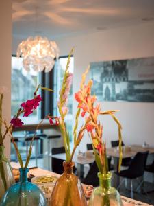 deck 8 designhotel soest