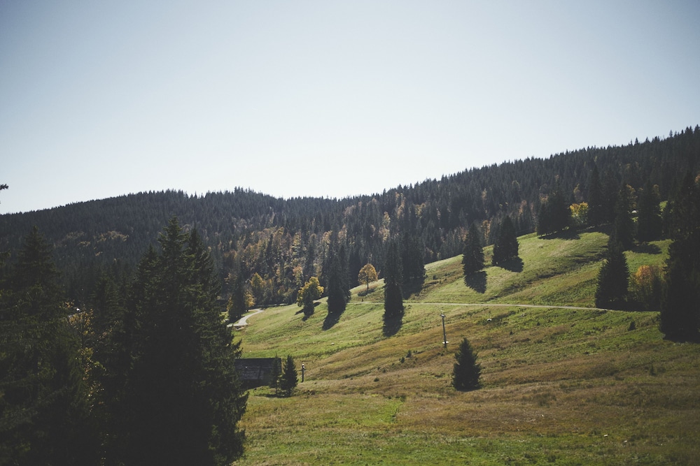 boutique hotel kokoschinski