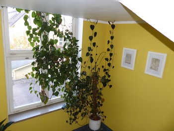 hotel pension koberl