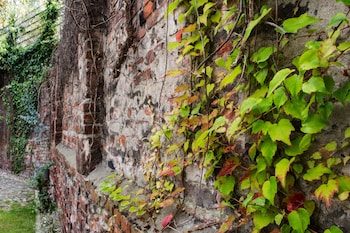 august the boardinghouse