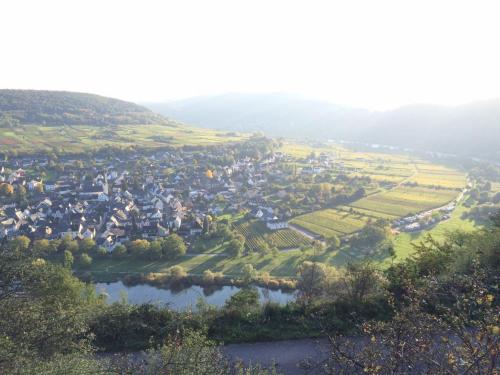 weincafe korkenzieher