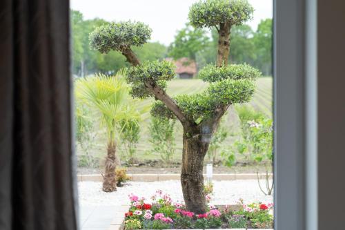 hotel and restaurant sparta