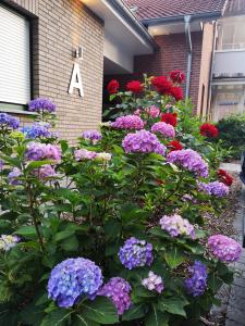 hotel and pension dat greune eck