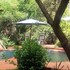 woodland gardens
