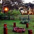 woodland gardens