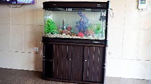 precious guest lodge