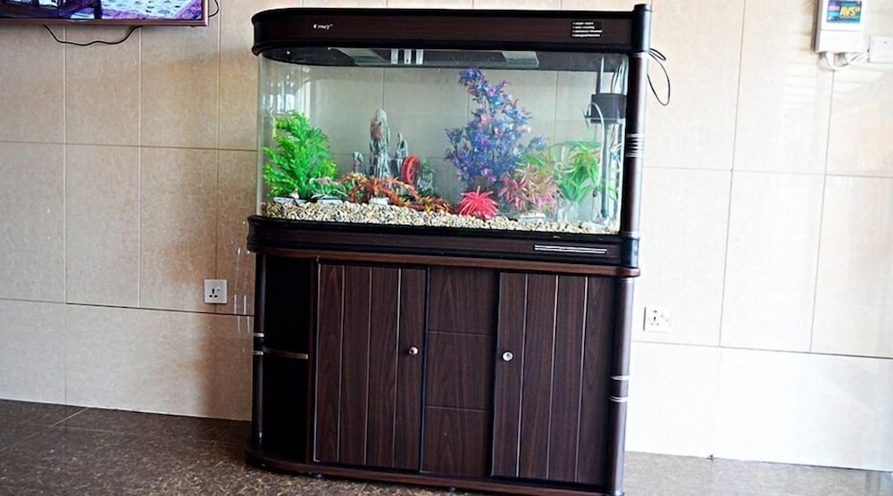 precious guest lodge