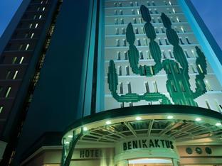 kaktus hotel benikaktus