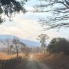 Rockwood Lodges,Durban>>Balgowan,4 star