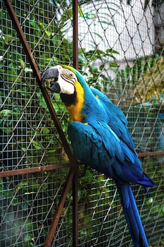 panama house bed and breakfast