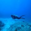 santa catalina rentals las hamacas