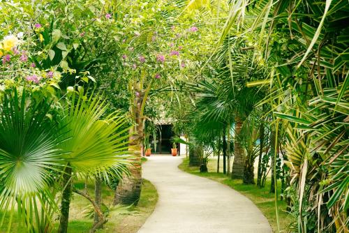 las escobas del venado