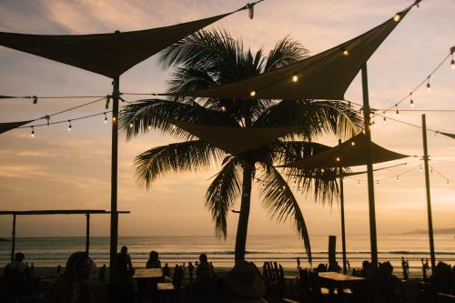 las escobas del venado