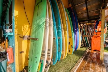 las escobas del venado