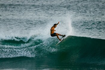 las escobas del venado