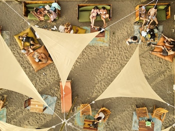 las escobas del venado