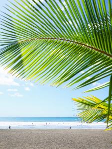 Hotel Playa Cambutal,Isla Canas>>Cambutal,4 star