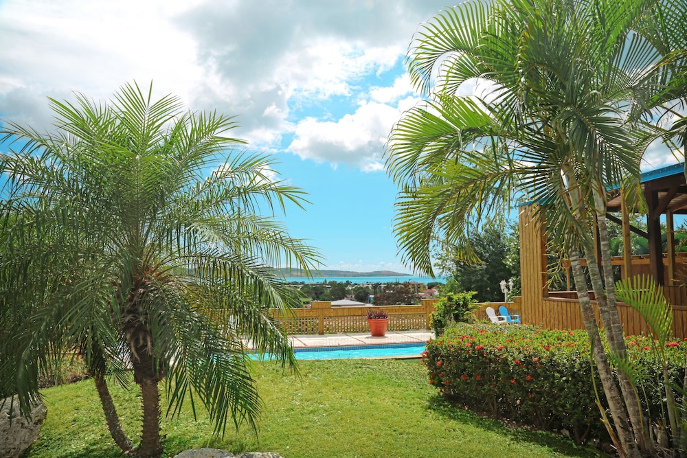 boqueron