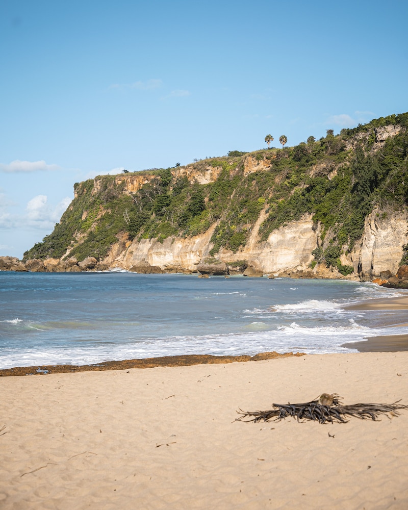punta borinquen resort