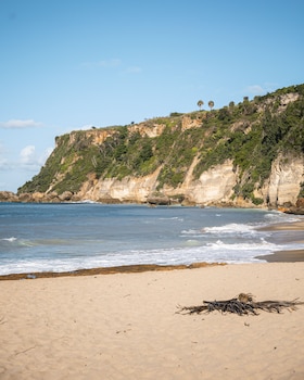aguadilla
