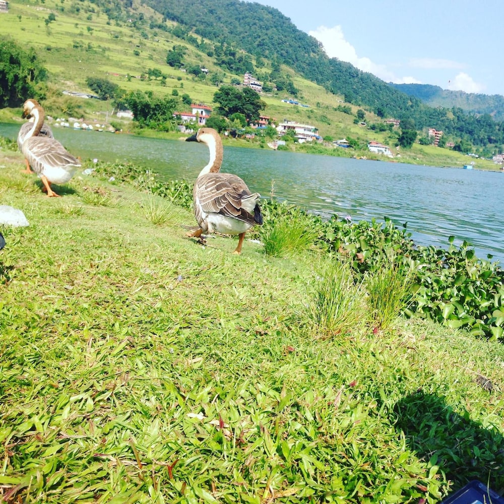 pokhara
