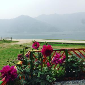 sweet dreams guest house