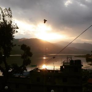 sweet dreams guest house